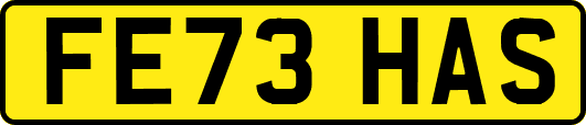 FE73HAS