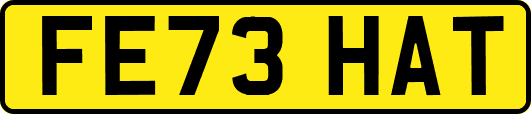 FE73HAT