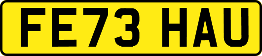 FE73HAU