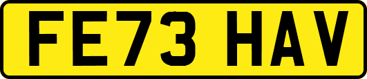FE73HAV