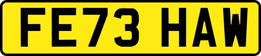 FE73HAW