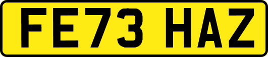 FE73HAZ