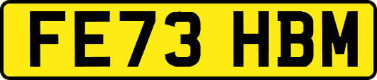 FE73HBM