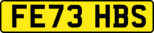FE73HBS