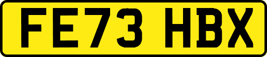 FE73HBX