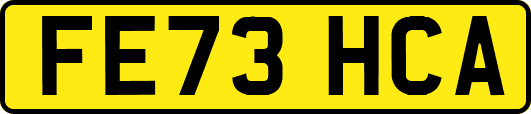FE73HCA
