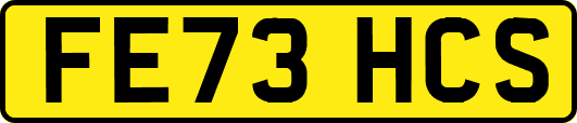 FE73HCS