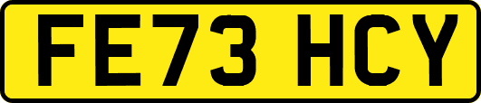 FE73HCY