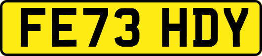 FE73HDY