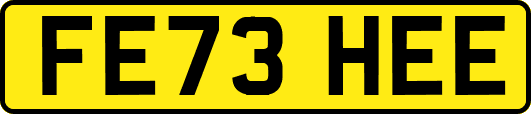 FE73HEE