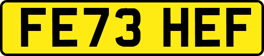 FE73HEF