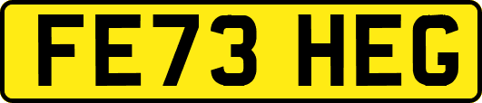 FE73HEG