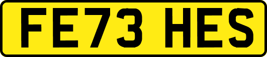 FE73HES