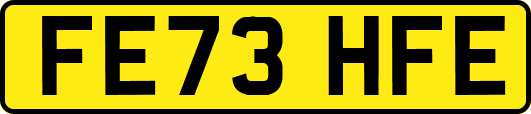 FE73HFE