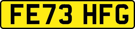 FE73HFG