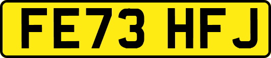 FE73HFJ