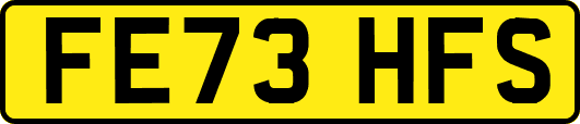 FE73HFS