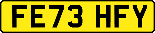 FE73HFY