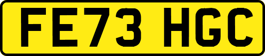 FE73HGC