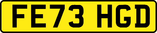FE73HGD