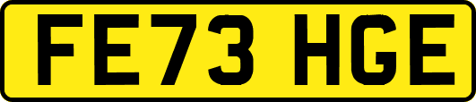 FE73HGE
