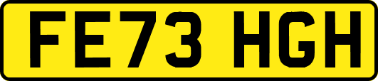FE73HGH
