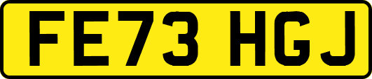 FE73HGJ