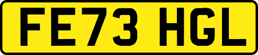 FE73HGL