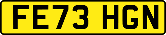 FE73HGN