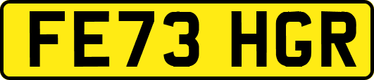 FE73HGR
