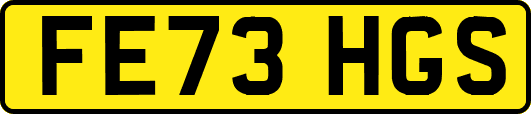 FE73HGS