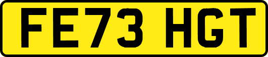 FE73HGT