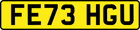 FE73HGU