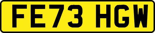 FE73HGW