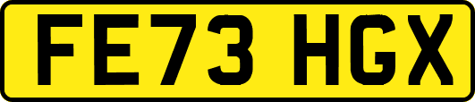 FE73HGX