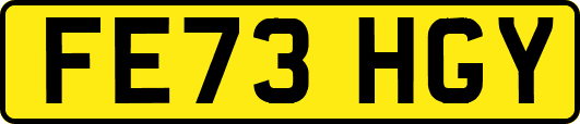 FE73HGY