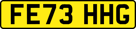 FE73HHG