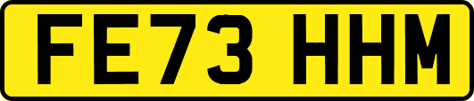FE73HHM