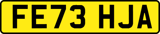 FE73HJA