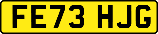 FE73HJG