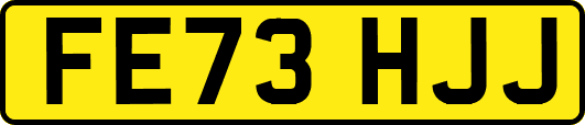 FE73HJJ