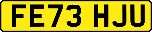 FE73HJU