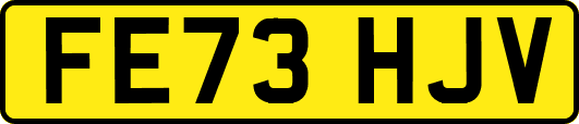 FE73HJV