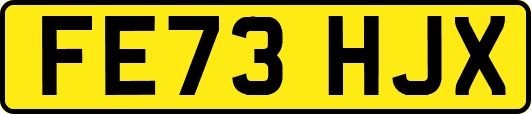 FE73HJX