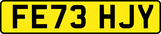 FE73HJY