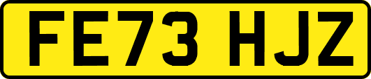 FE73HJZ