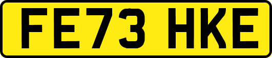 FE73HKE