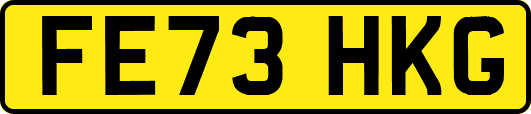 FE73HKG