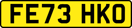 FE73HKO