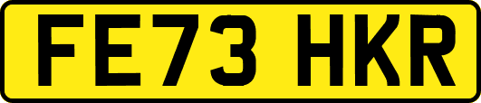 FE73HKR